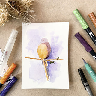 Watercolouring Set - Nature